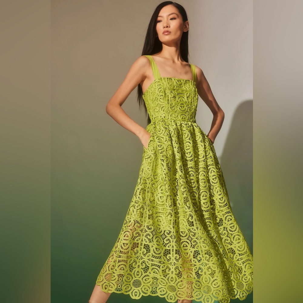 NWT Natori Green raffia Lace Midi Dress